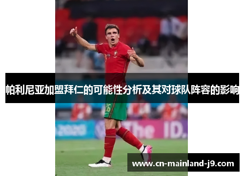 帕利尼亚加盟拜仁的可能性分析及其对球队阵容的影响 帕利尼亚加盟拜仁的可能性分析及其对球队阵容的影响