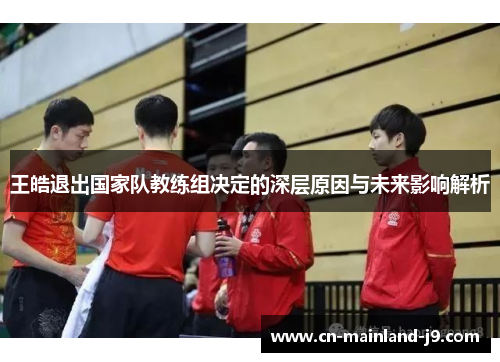 王皓退出国家队教练组决定的深层原因与未来影响解析