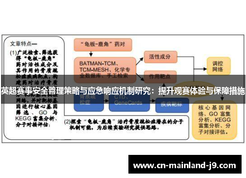 英超赛事安全管理策略与应急响应机制研究：提升观赛体验与保障措施