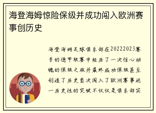 海登海姆惊险保级并成功闯入欧洲赛事创历史